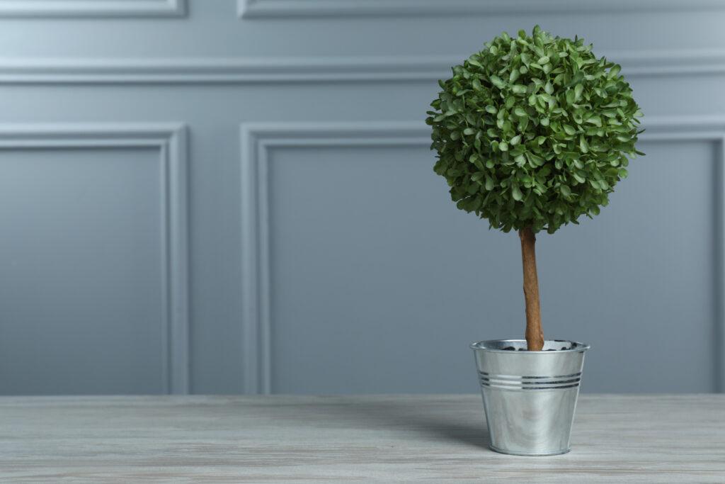 Beautiful artificial tree in flower pot on white wooden table near grey wall, space for text