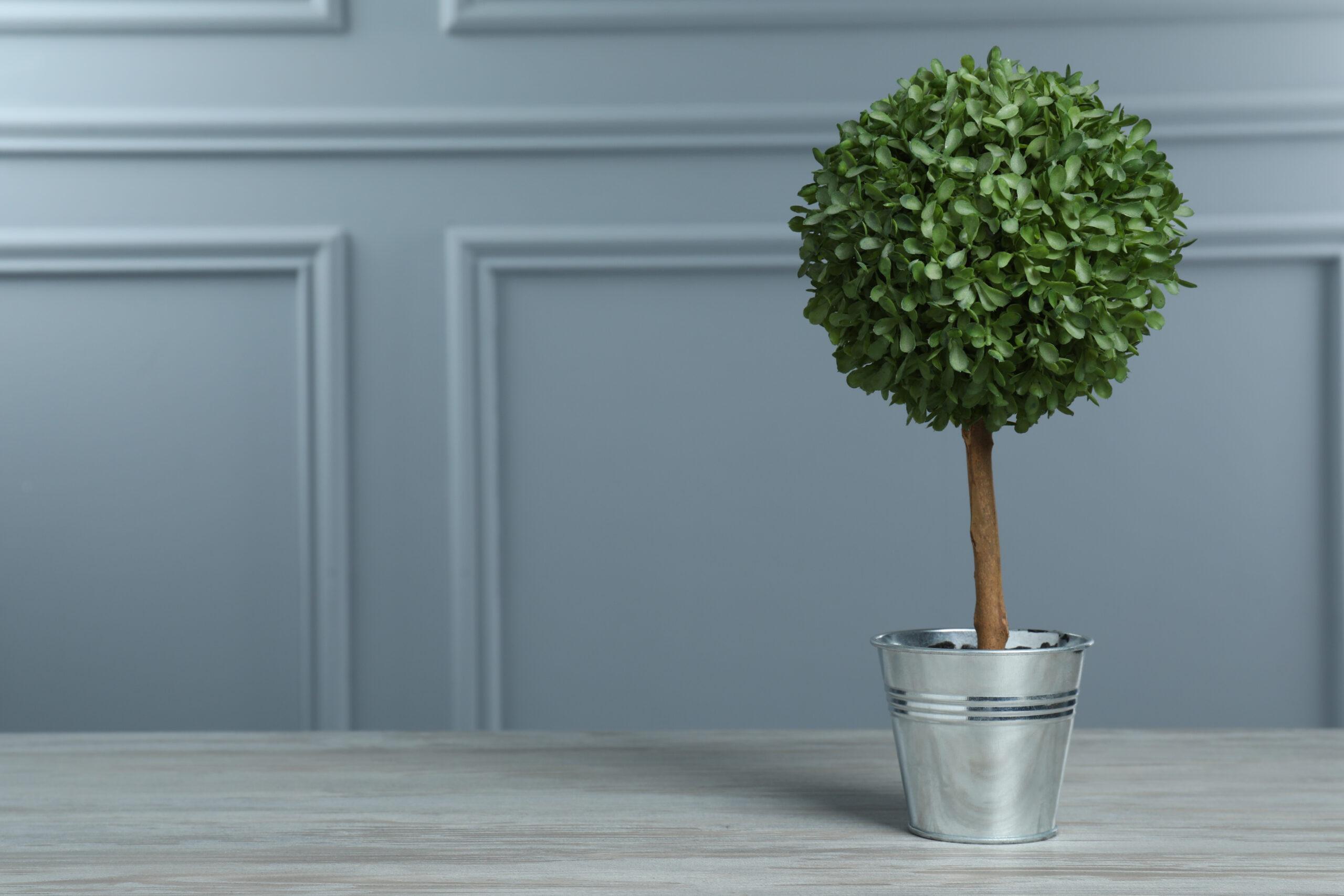 Beautiful artificial tree in flower pot on white wooden table near grey wall, space for text